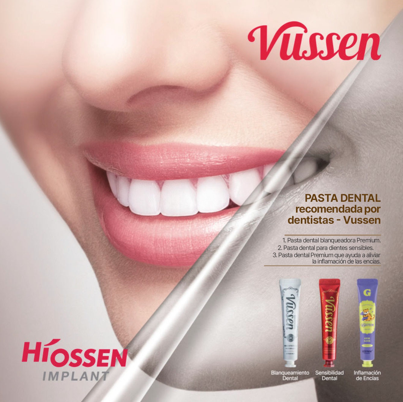 Folleto Pasta Dental Premium Vussen y Osstem